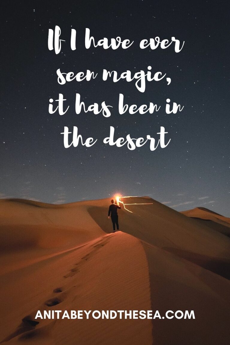 100 Desert Puns Desert Quotes And Desert Captions For Instagram