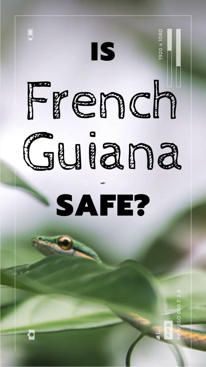 is french guiana safe vine snake