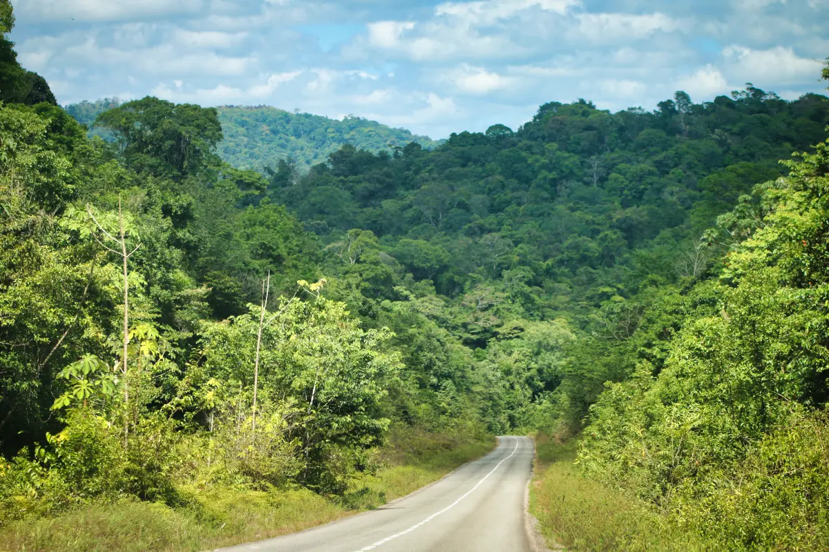 national road in french guiana RN1
