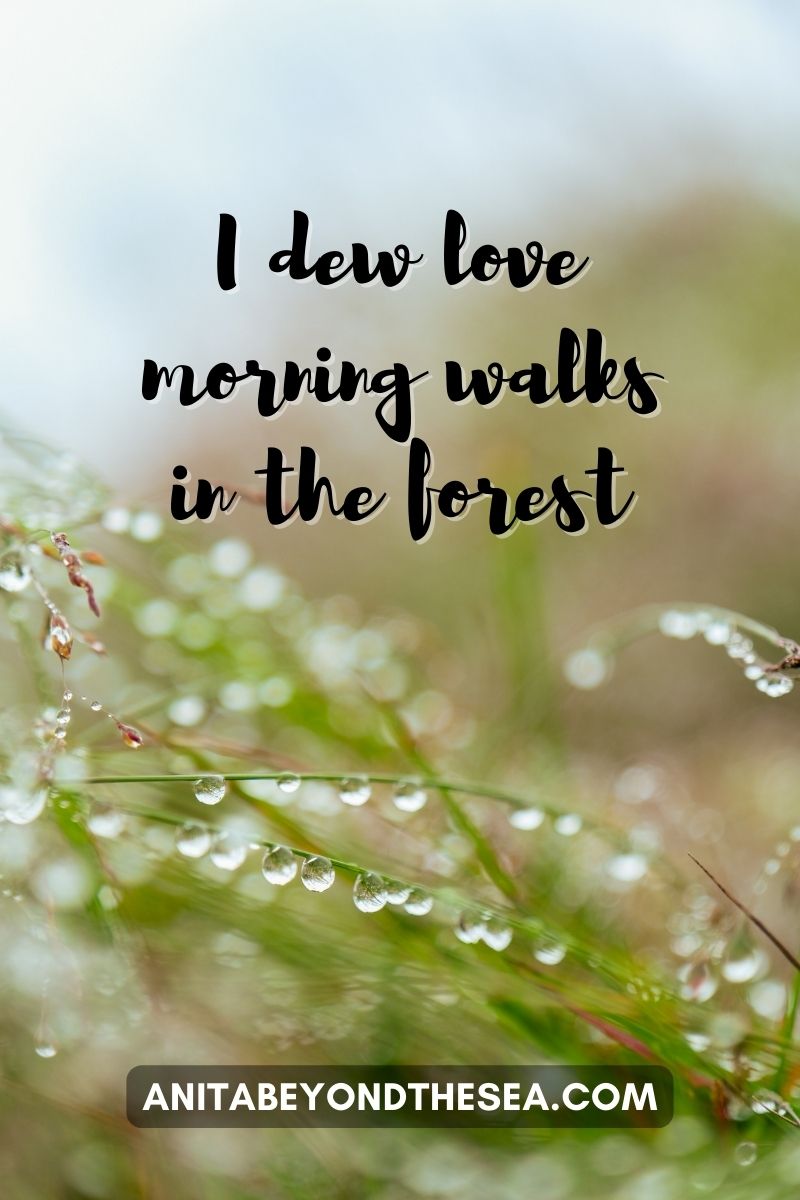 I dew love morning walks in the forest. Nature puns