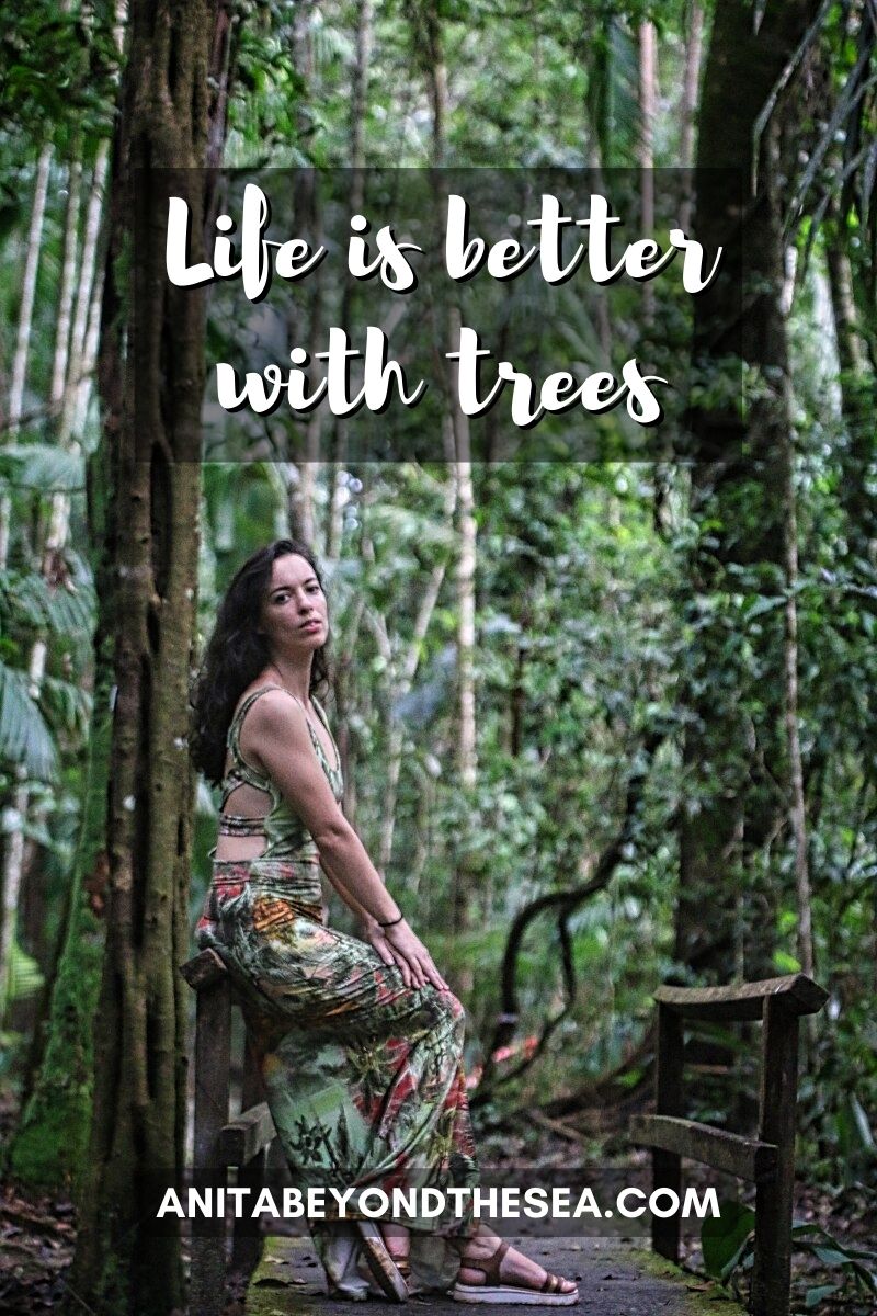 Life is better with trees. Nature captions for Instagram