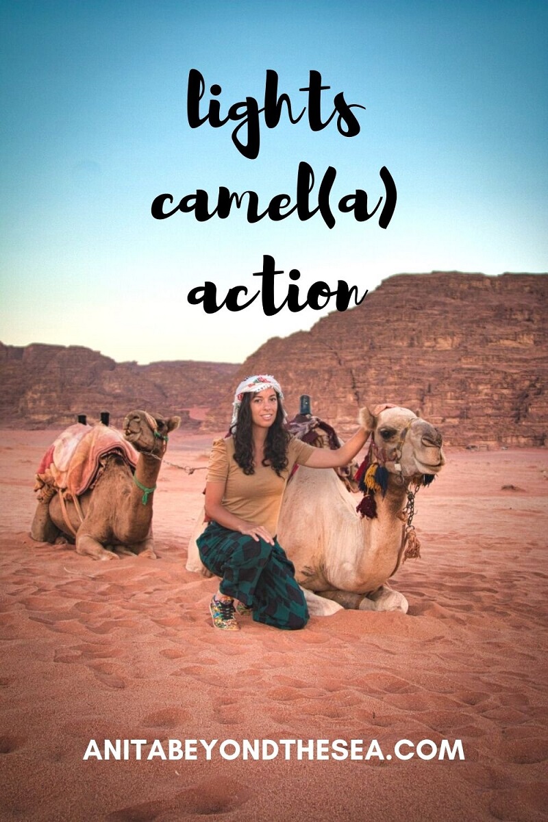 lights camel a action. Desert puns for Instagram