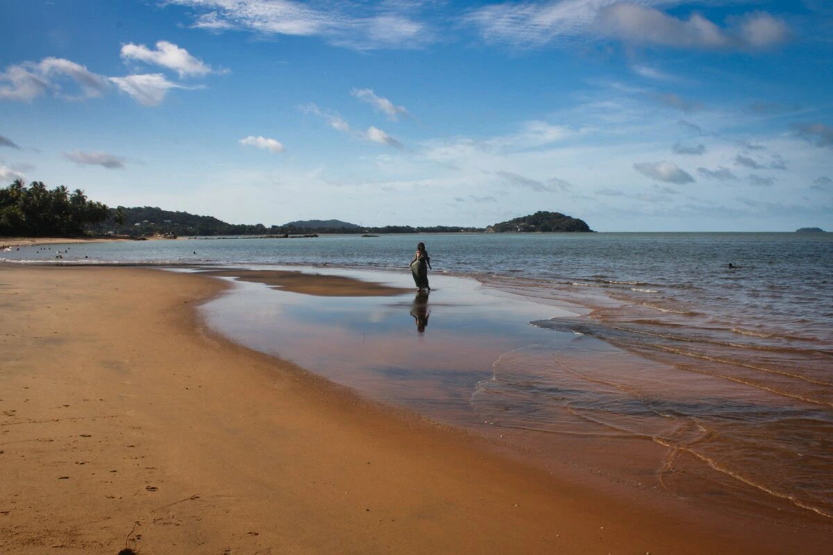 Gosselin Beach nearby Remire, French Guiana