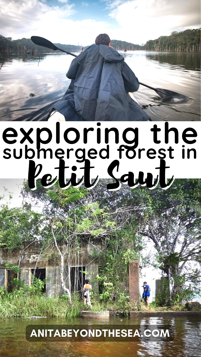 exploring the submerged forest in Petit Saut french guiana