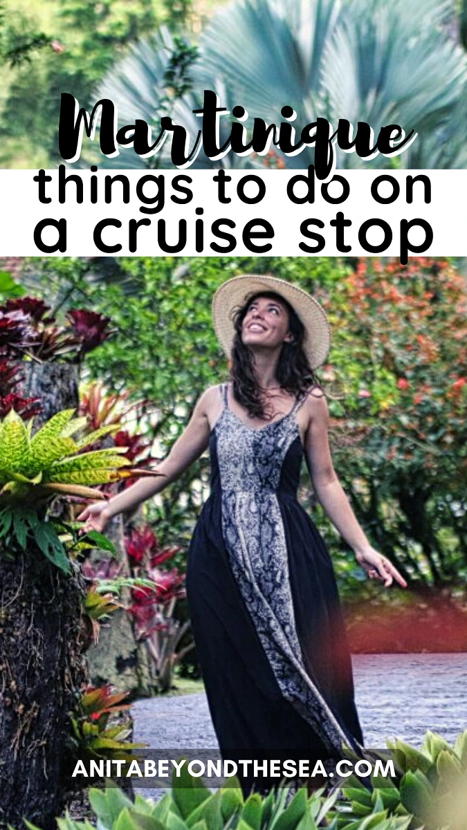 things to do in martinique on a cruise stop