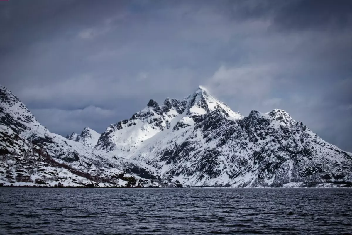 landscape in lofoten during sea eagle safari in trollfjord