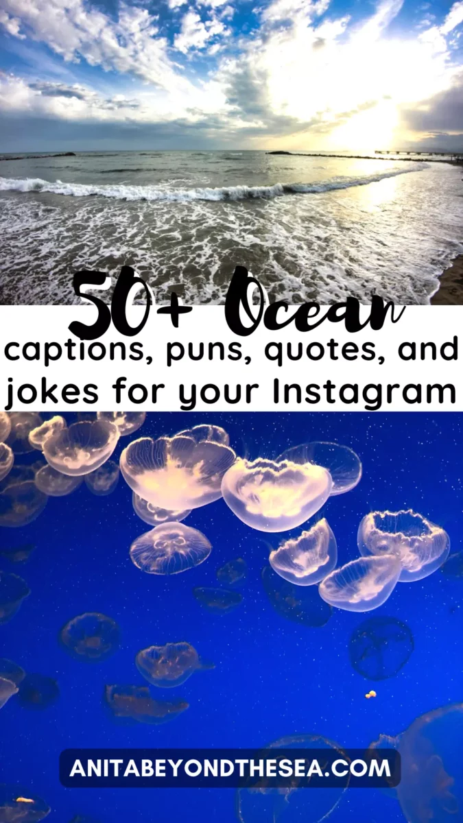 ocean captions ocean quotes ocean jokes ocean puns