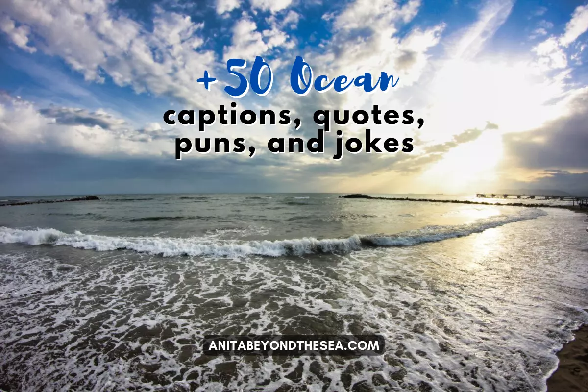 view of the waves crushing to the shore ocean puns ocean jokes ocean captions ocean quotes