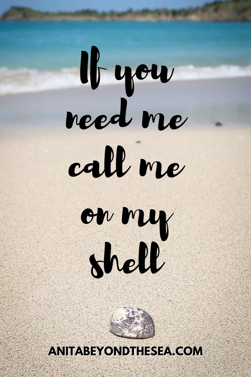 if you need me call me on my shell funny sea instagram captions