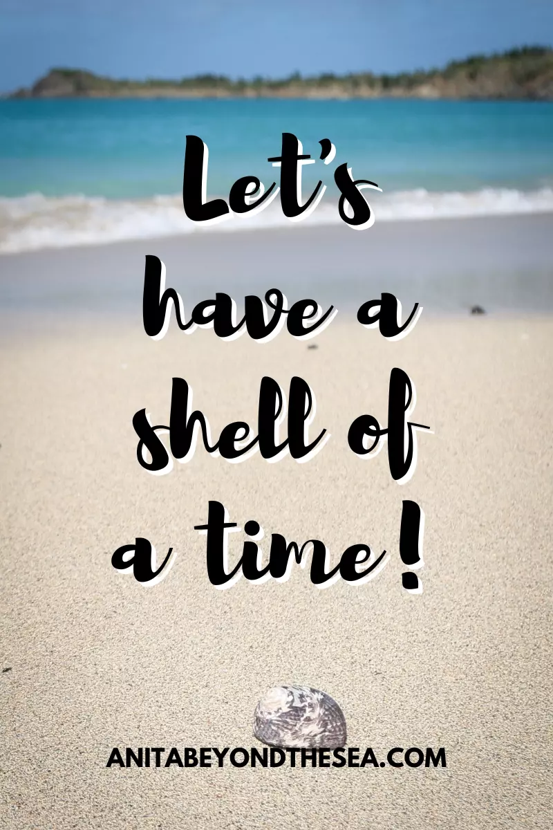 let's have a shell of a time ocean puns ocean jokes