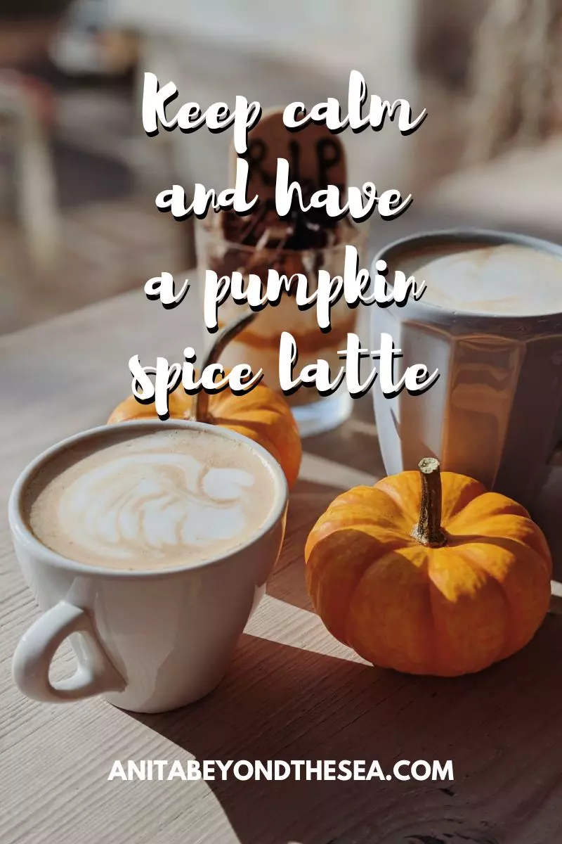 pumpkin spice captions for instagram pumpkin puns