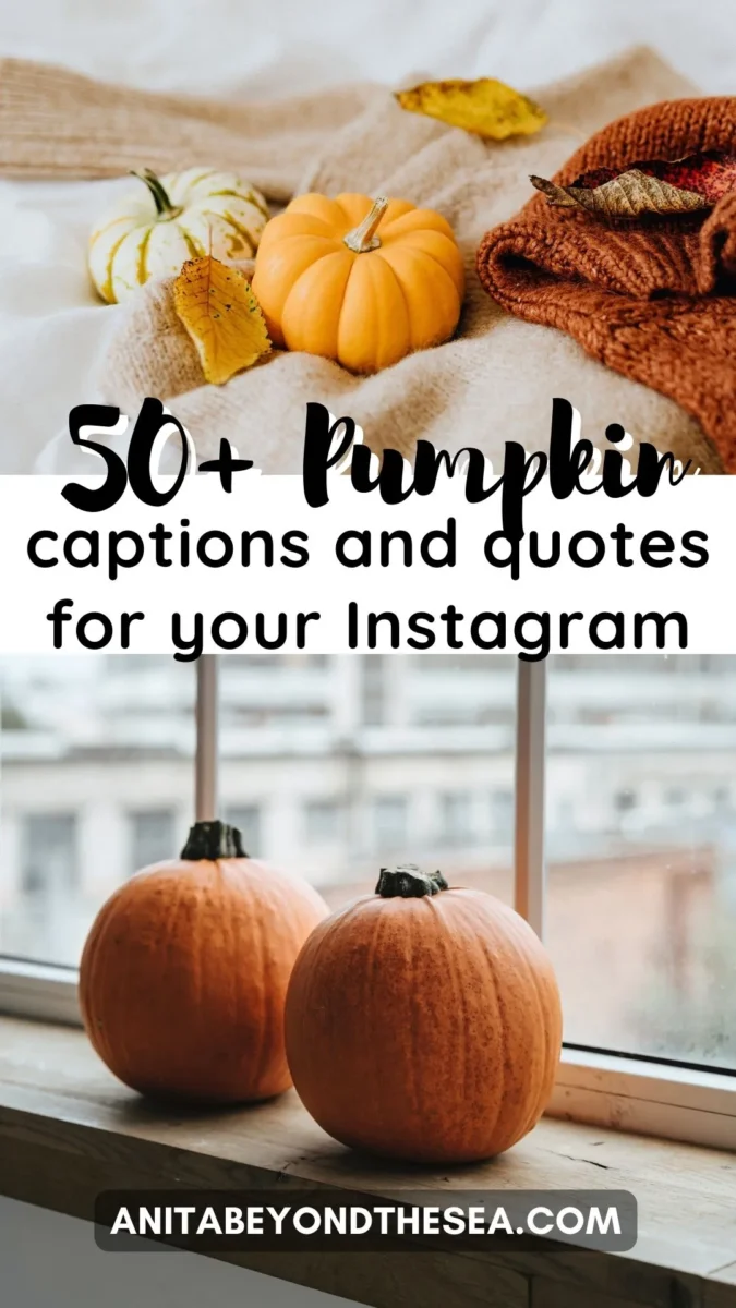 pumpkin captions for instagram pumpkin puns pumpkin quotes pumpkin jokes