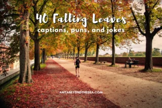 falling leaves puns falling leaves captions foliage captions for instagram fall quotes