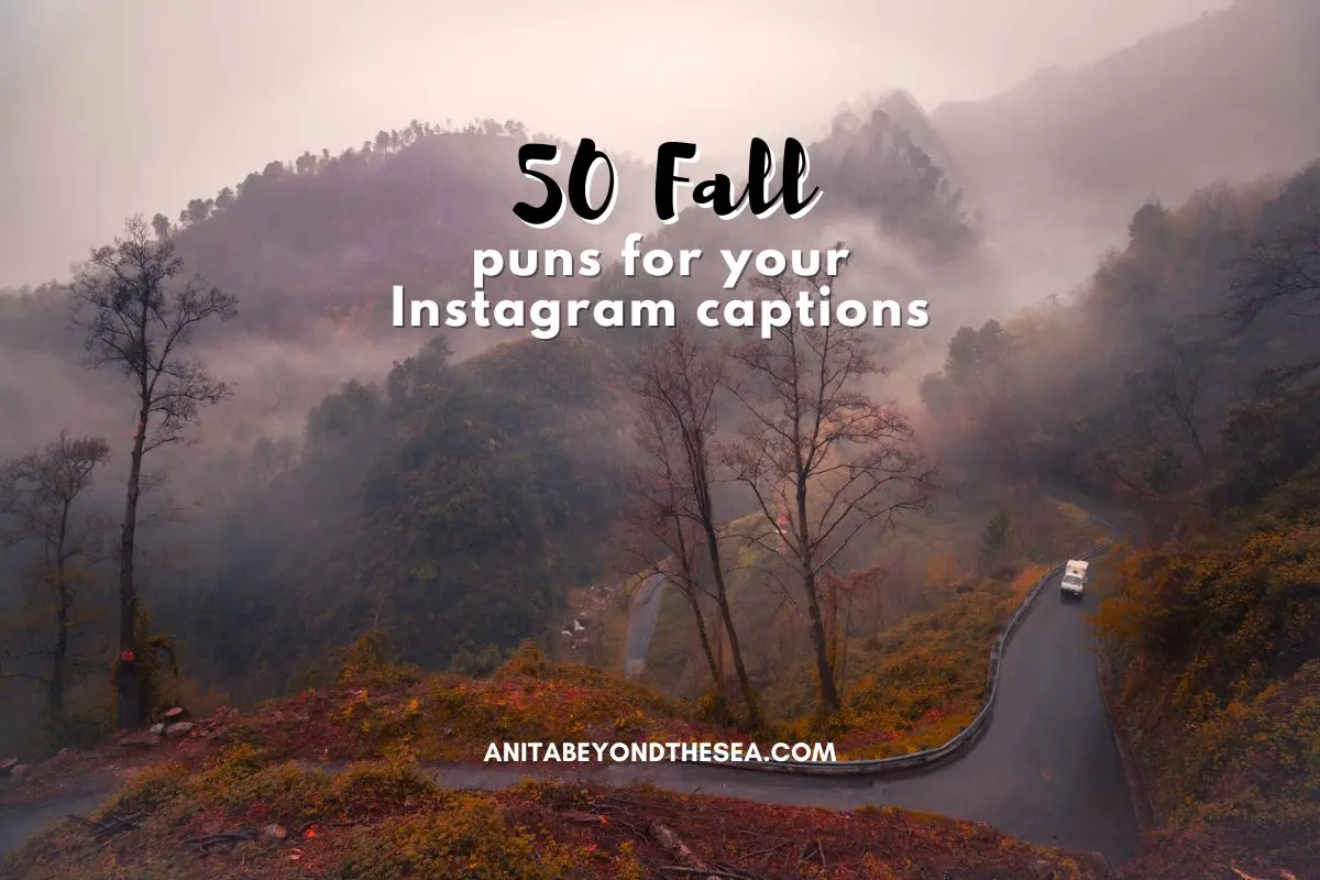 funny fall puns for your autumn captions