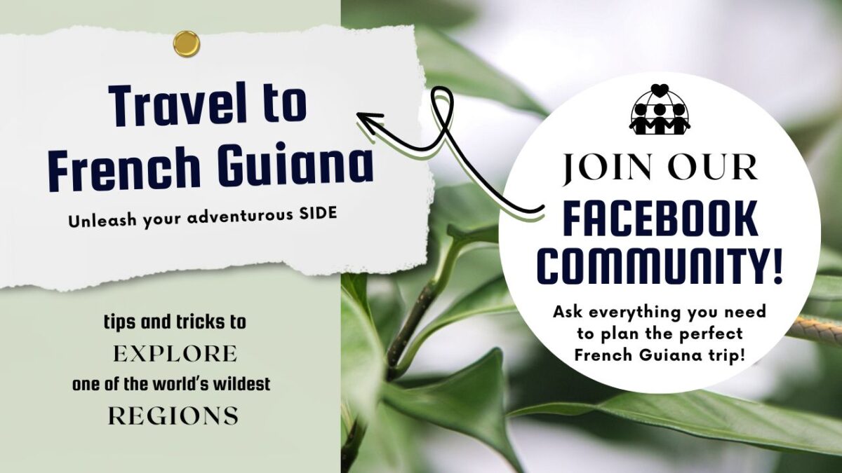 travel to french guiana facebook community